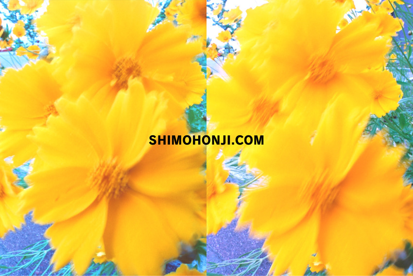 shimocomtop1.jpg
